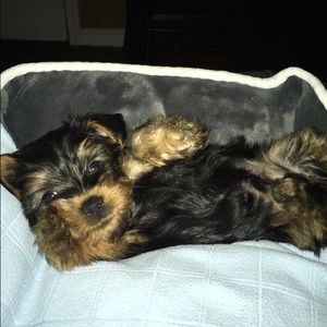 Meet your Posher, Sara