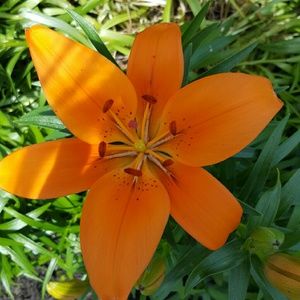 Meet your Posher, Brandi