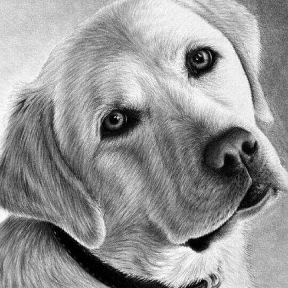 Meet your Posher, Carla - Picture 1 of 1