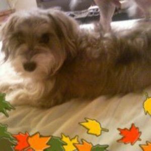 Meet your Posher, Judy