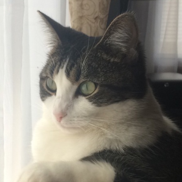 Meet your Posher, Lynette - Picture 1 of 1