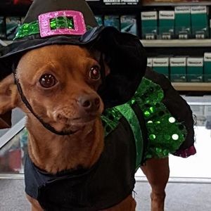 Meet your Posher, Helen