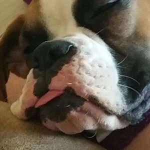 Meet your Posher, Tina