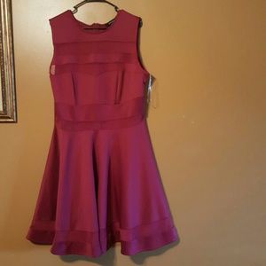 Beautiful Ashley Stewart Dress brand new