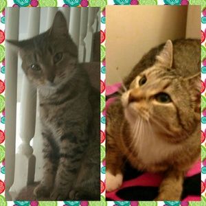 Meet your Posher, Krysta