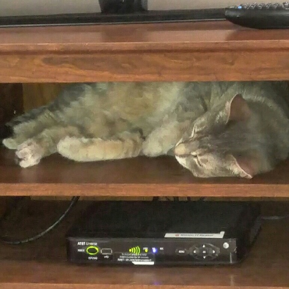 Meet your Posher, Mary - Picture 1 of 1