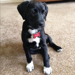 Meet your Posher, Carla