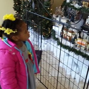 Meet your Posher, Anna