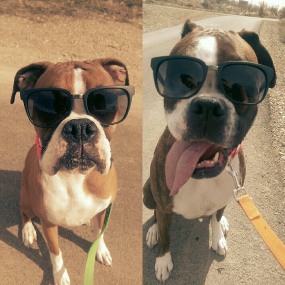 Meet your Posher, Lori - Picture 1 of 1