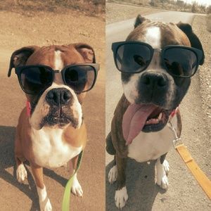 Meet your Posher, Lori