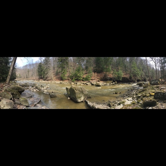 Meet your Posher, Vanessa - Picture 1 of 1