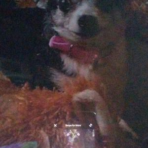 Meet your Posher, Carol