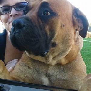 Meet your Posher, Dawn