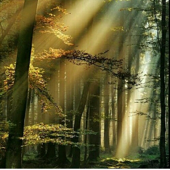 Meet your Posher, Geny