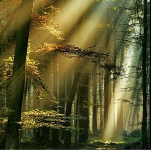 Meet your Posher, Geny