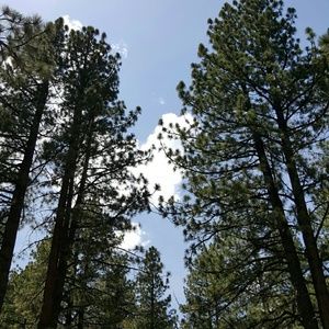 Meet your Posher, Tricia