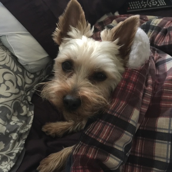 Meet your Posher, Kit