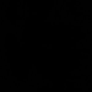 Meet your Posher, Dororhy