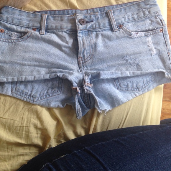 American eagle - Picture 1 of 4