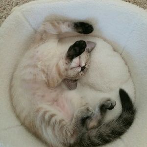 Meet your Posher, Adrienne