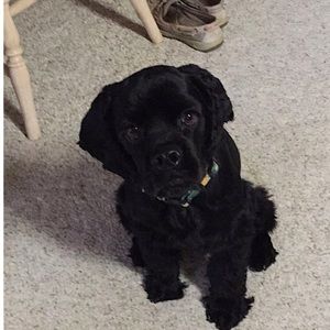 Meet your Posher, Hannah