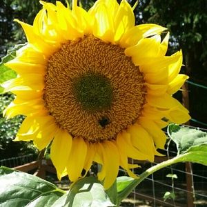 Meet your Posher, Janice