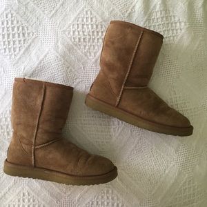 Classic Short Chestnut Uggs