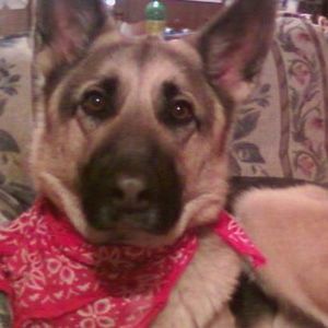 Meet your Posher, Amy jo