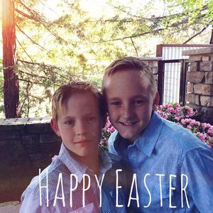 Meet your Posher, Betsy