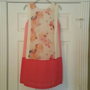 NWT Dalia Floral Colorblock Shift Dress