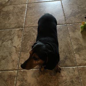 Meet your Posher, Robin