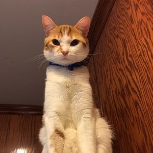 Meet your Posher, Lori