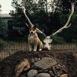 Meet your Posher, Jackie