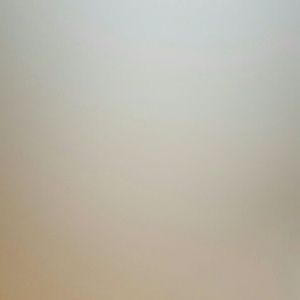 Meet your Posher, Brandie