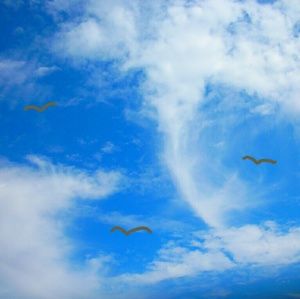 Meet your Posher, Aurora