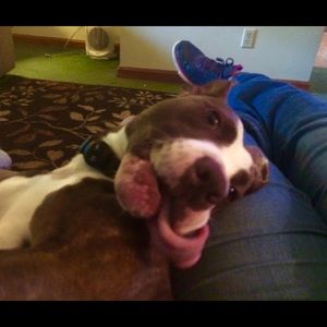 Meet your Posher, Tina