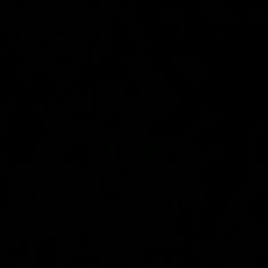 Meet your Posher, Sckilyr