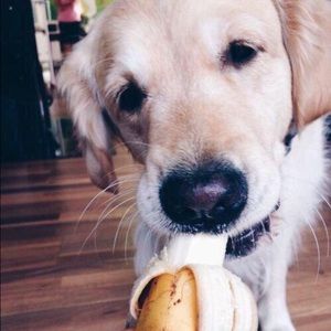 Meet your Posher, Kelli