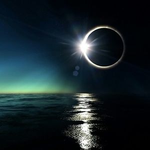 Meet your Posher, Anne