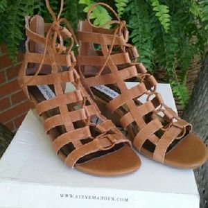 Steve Madden gladiator sandals