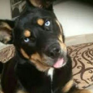 Meet your Posher, Lydia