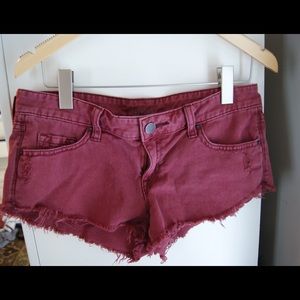 Urban Maroon Shorts
