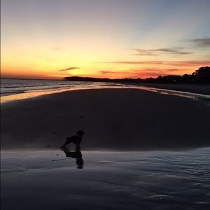 Meet your Posher, Camille