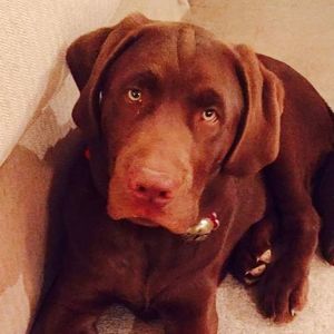 Meet your Posher, Bates