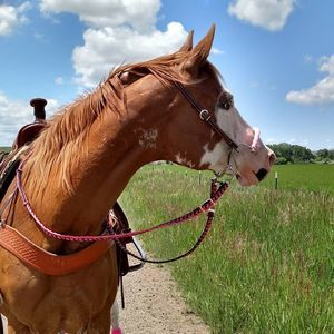 Meet your Posher, Heather