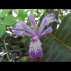 Meet your Posher, Jill