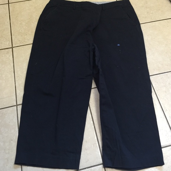 Blue Crop pants size 22