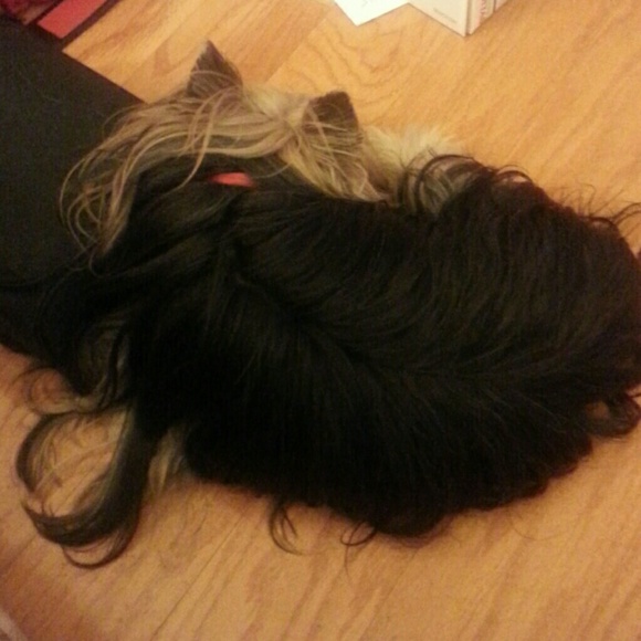 Meet your Posher, Peggy