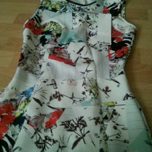 Erdem designer dress