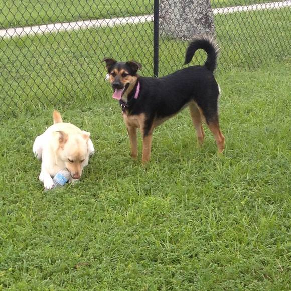 Meet your Posher, Melissa - Picture 1 of 5